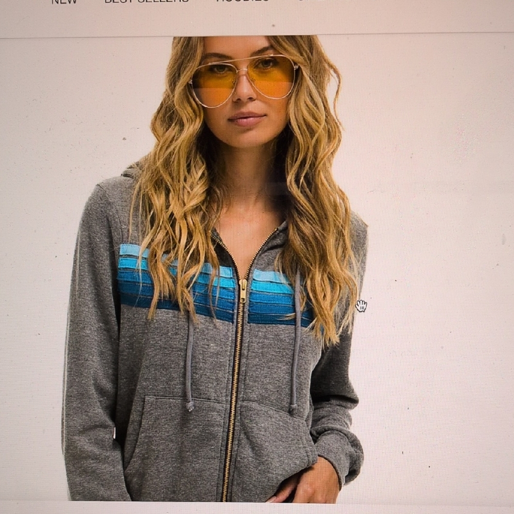 Aviator Nation Gray and Blue Zippered Graphic Hoodie